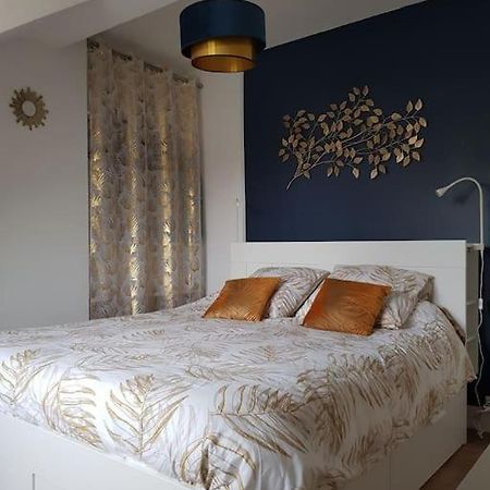 Appartement Lumineux Et Moderne Le Mans Eksteriør billede